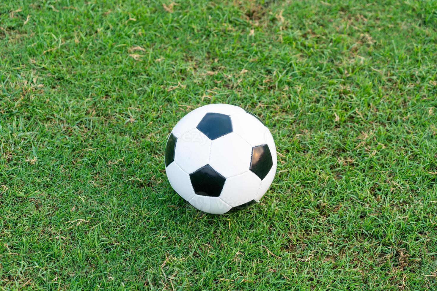 Soccer ball on the ball field photo
