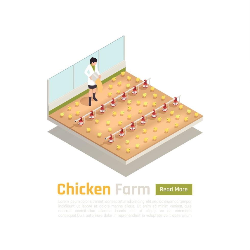 Chicken Farm Isometric Composition Vector Illustration