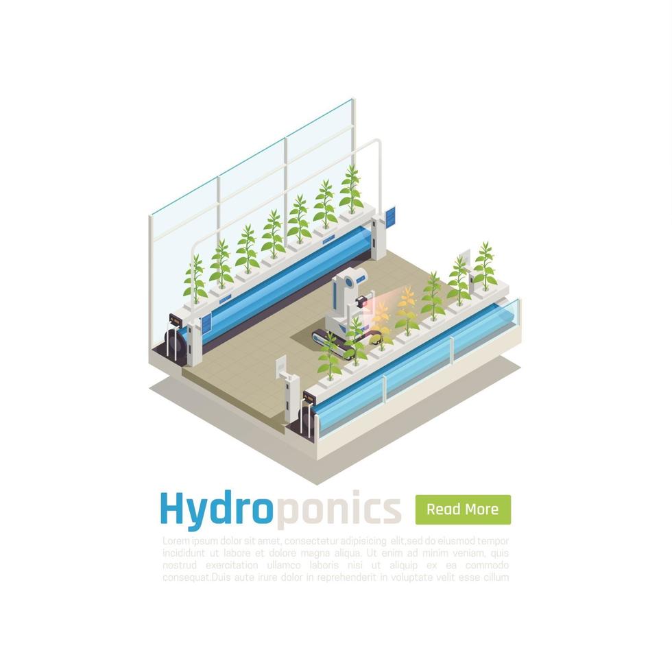 Ilustración de vector de composición isométrica de tecnología de invernadero moderno