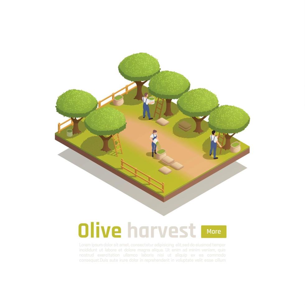 Olive Oil Production Vector Illustration