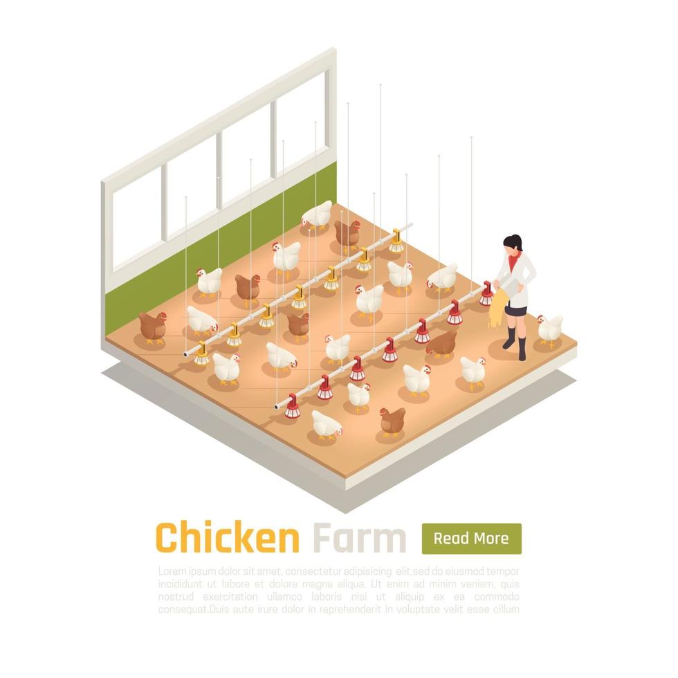 Chicken Farm Isometric Composition Vector Illustration