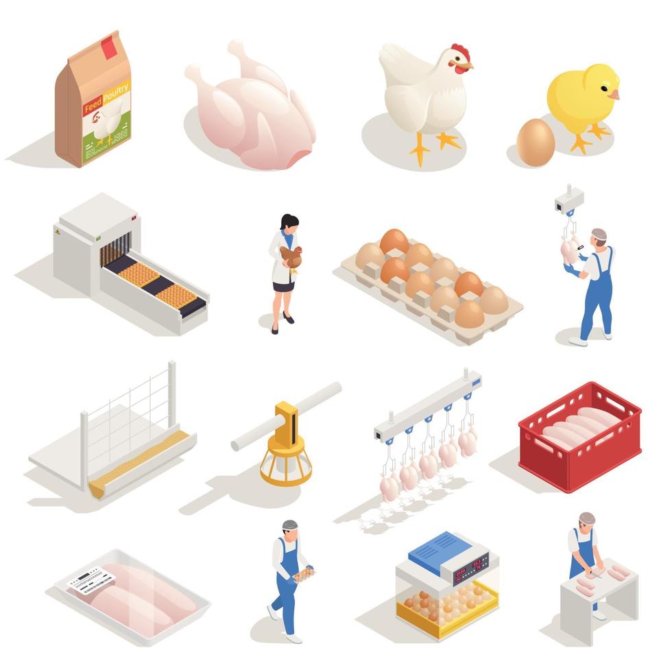 Chicken Farm Isometric Set Vector Illustration