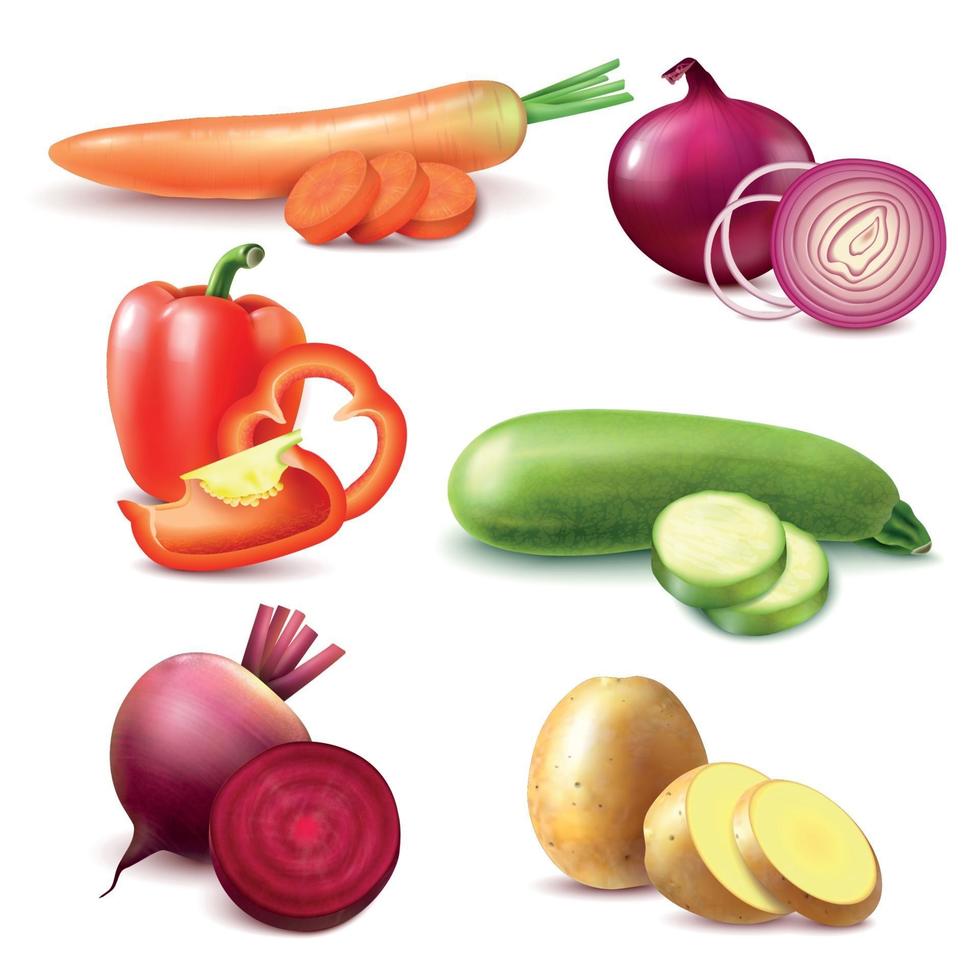 Conjunto de piezas realistas vegetales ilustración vectorial vector