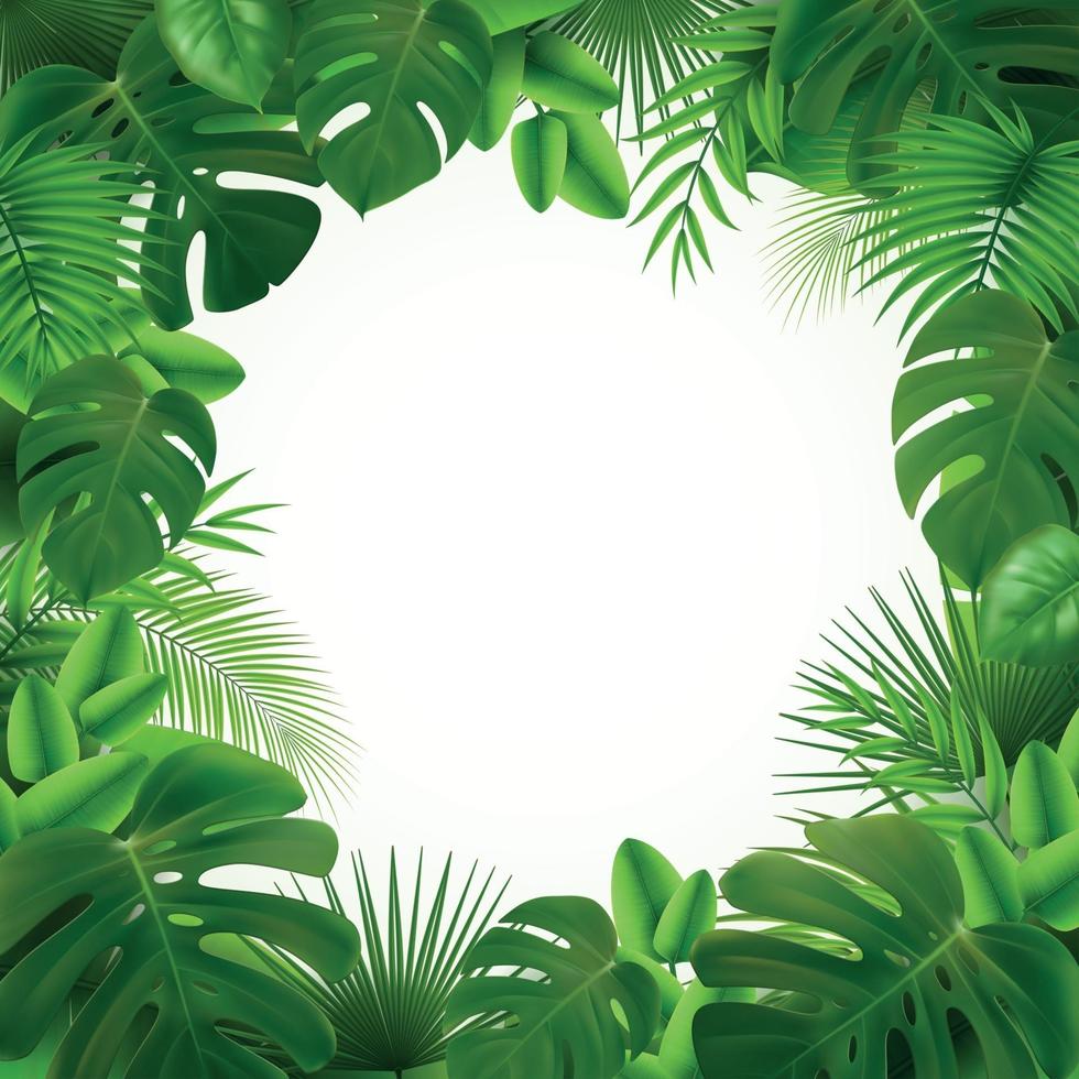 Tropical Leaves Frame Composition Vector Illustration