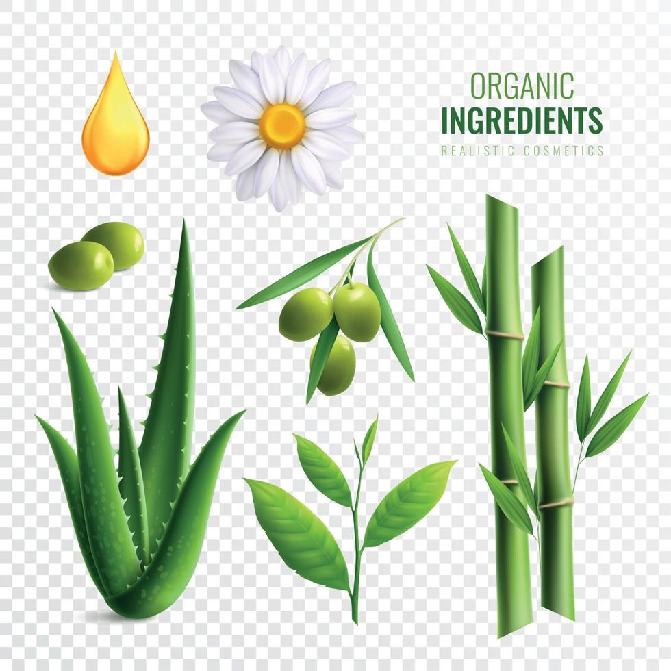 Realistic Organic Cosmetics vector