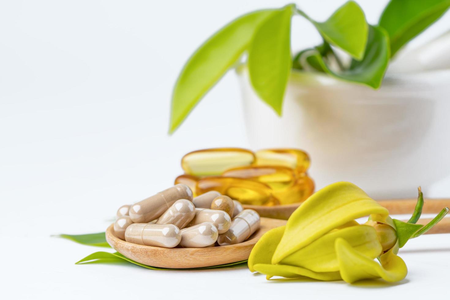 medicina alternativa cápsula orgánica a base de hierbas con vitamina e omega 3 aceite de pescado, mineral, medicamento con hojas de hierbas suplementos naturales para una vida sana y buena. foto