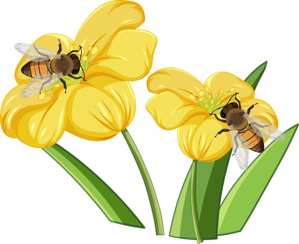 Close up of bee on the flowers vector