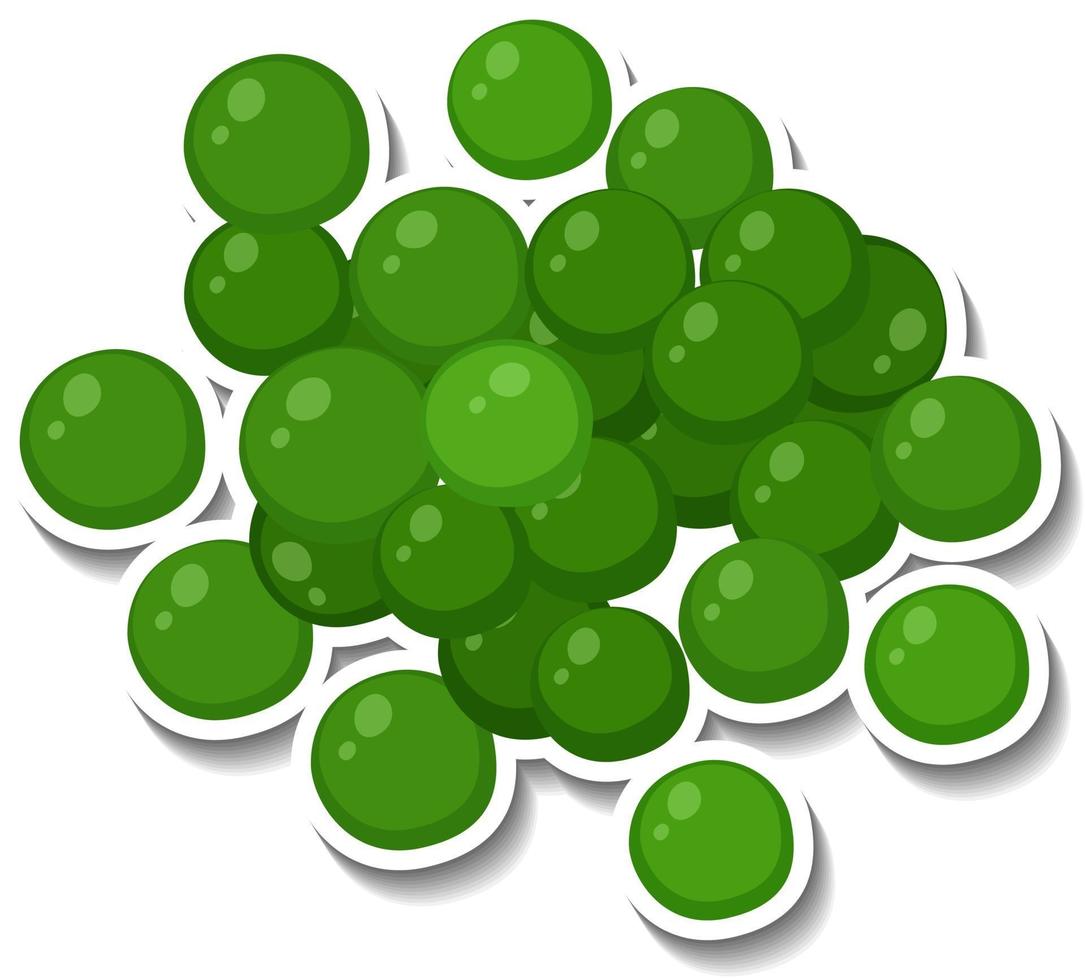 Many green spheres on white background vector