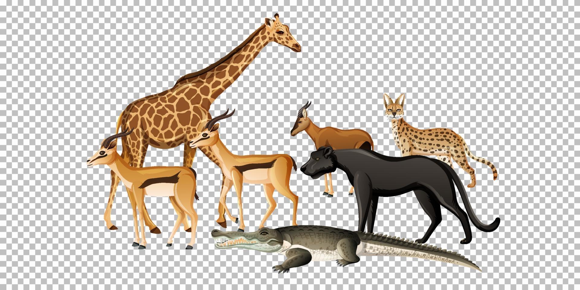 Group of wild african animals vector