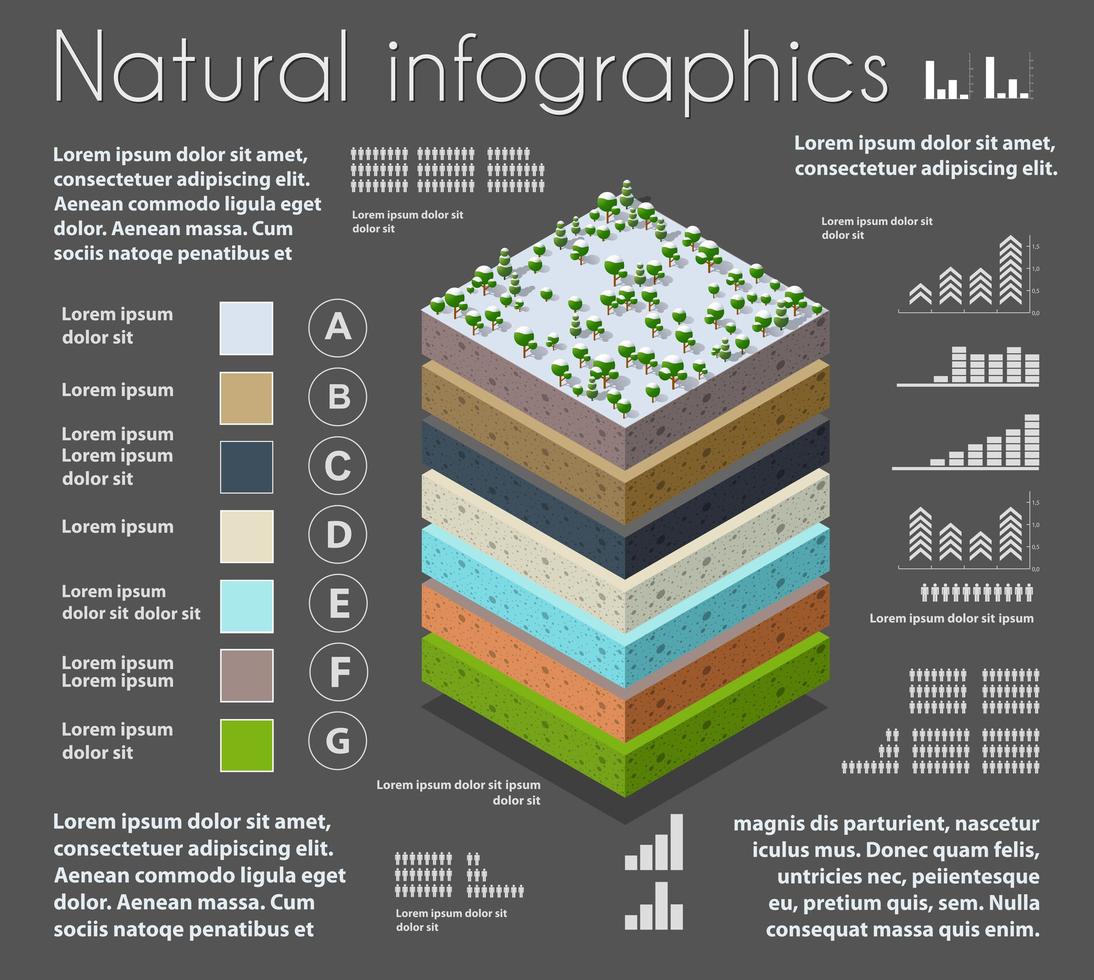 infografía naturaleza capas geológicas y subterráneas de suelo bajo vector