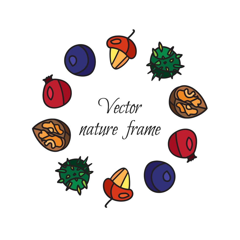 frutos secos vintage, baya, marco de frutas vector