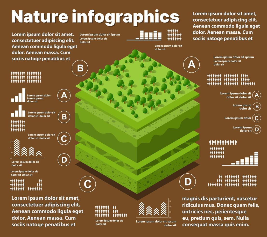 infografía naturaleza capas geológicas y subterráneas de suelo bajo vector