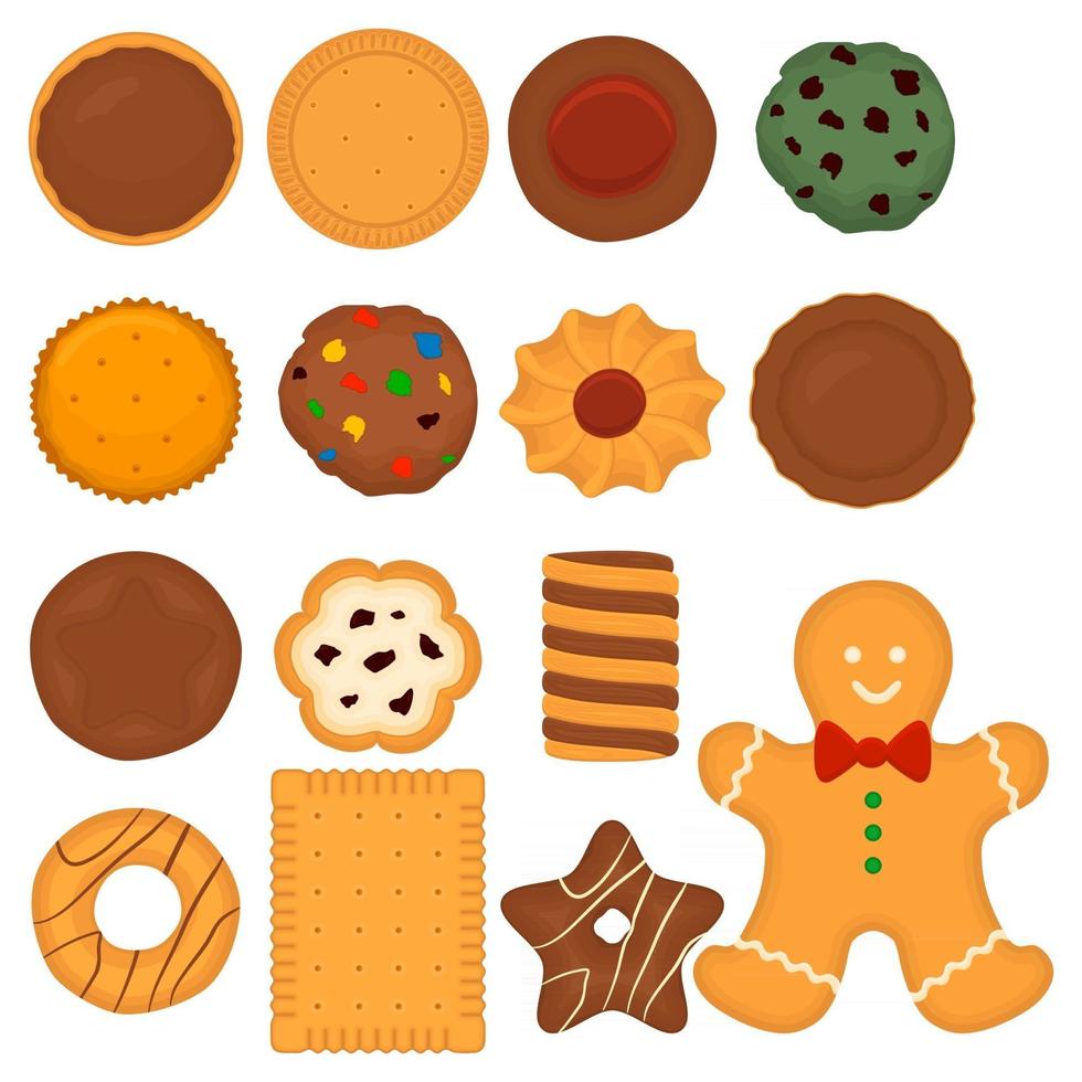 big set different biscuit, kit colorful pastry cookie vector