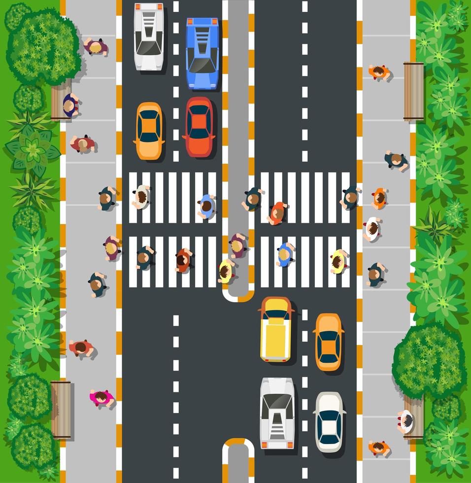 A top view from above is a city map of a urban park vector