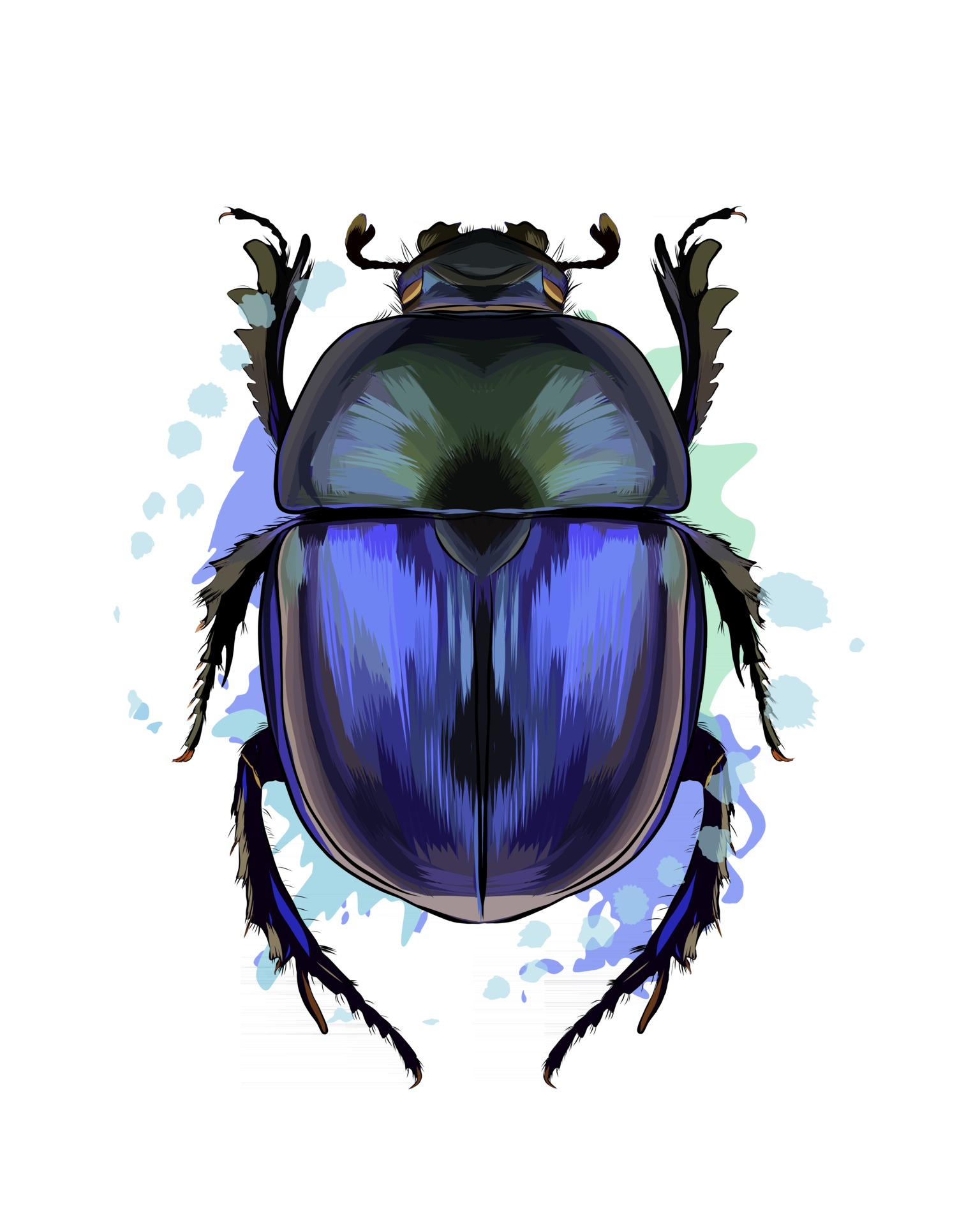 Egyptian Scarab Beetle Drawing