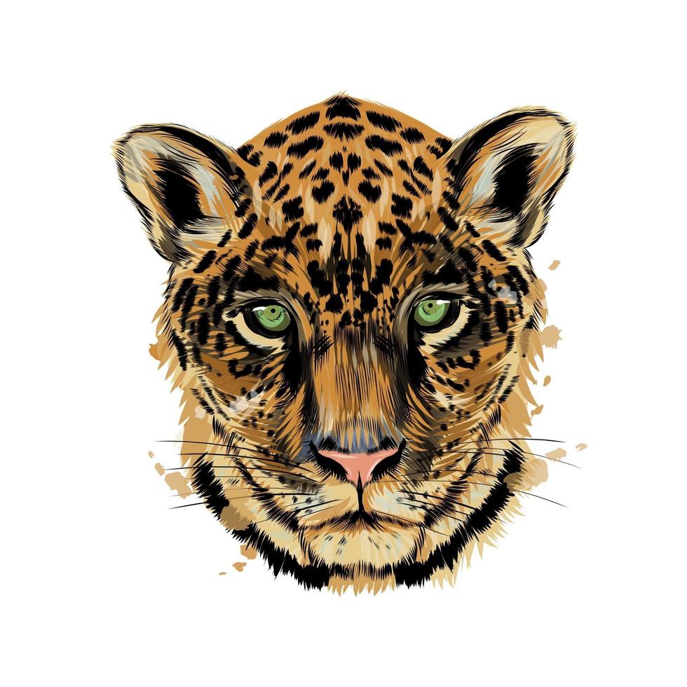 Jaguar, leopard head portrait from a splash of watercolor, colored drawing, realistic. Vector illustration of paints