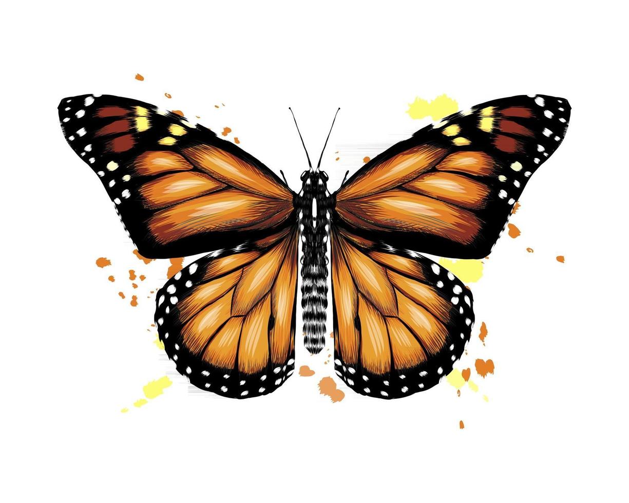 Butterfly from a splash of watercolor, colored drawing, realistic. Vector illustration of paints