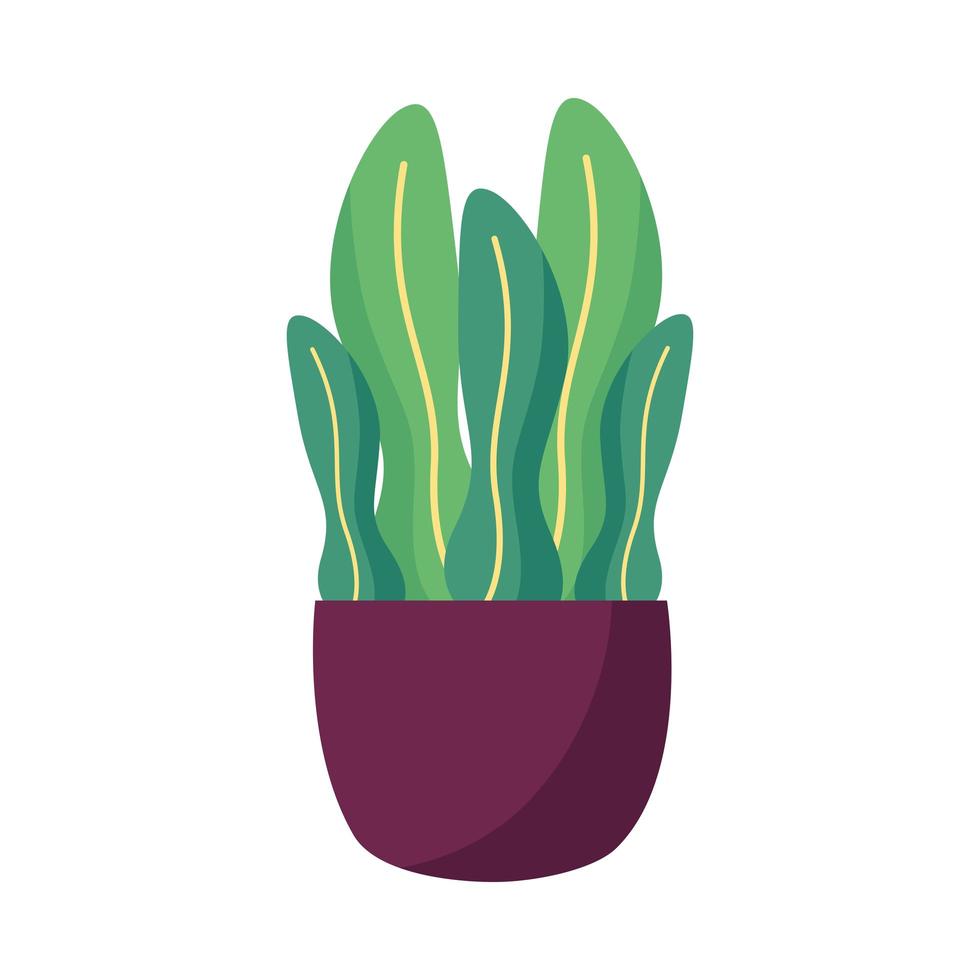 Isolated plant inside pot vector design