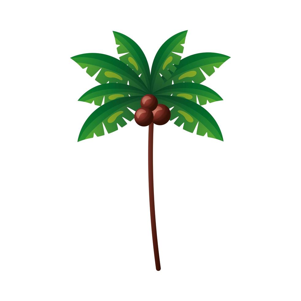 diseño de vector de palmera aislada