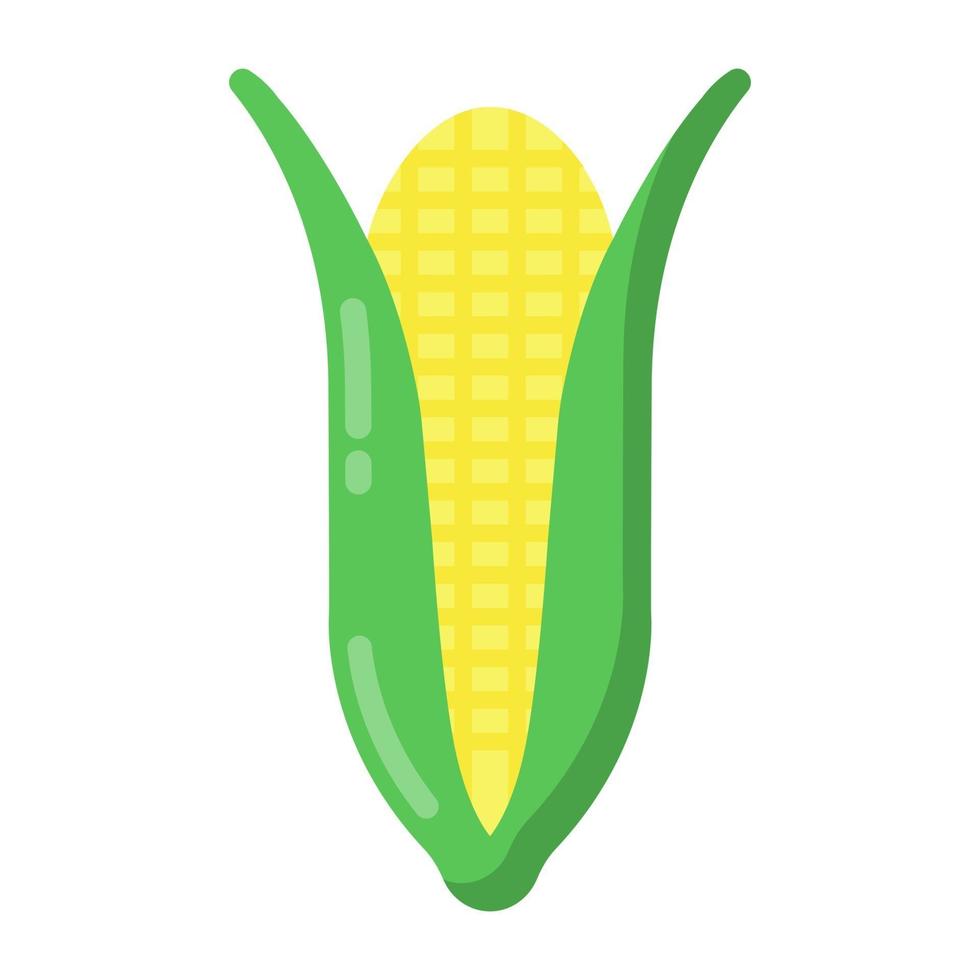 Corn healthy food vector