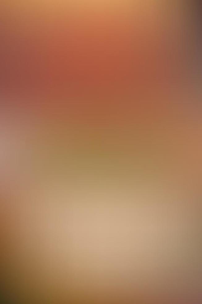 Light gradient background vector