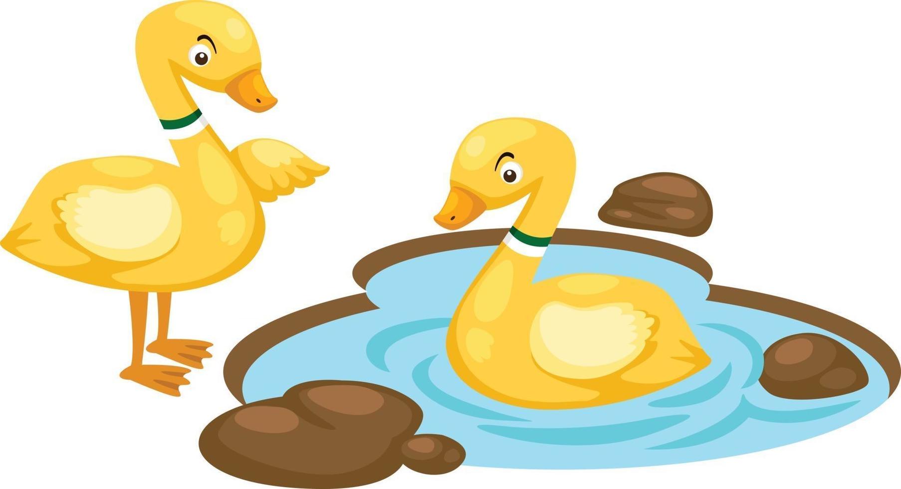 Ilustración de la familia de patos aislados sobre fondo blanco. vector