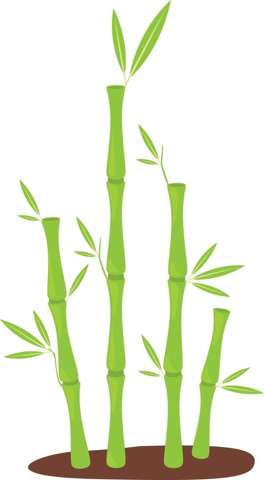Bamboo vector illustration