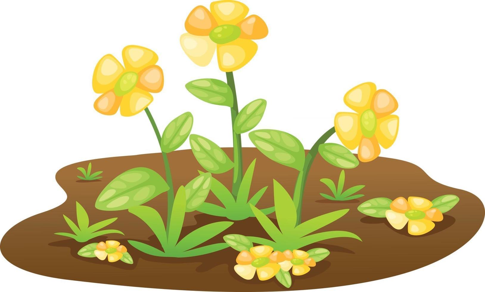 vector de ilustración de flor