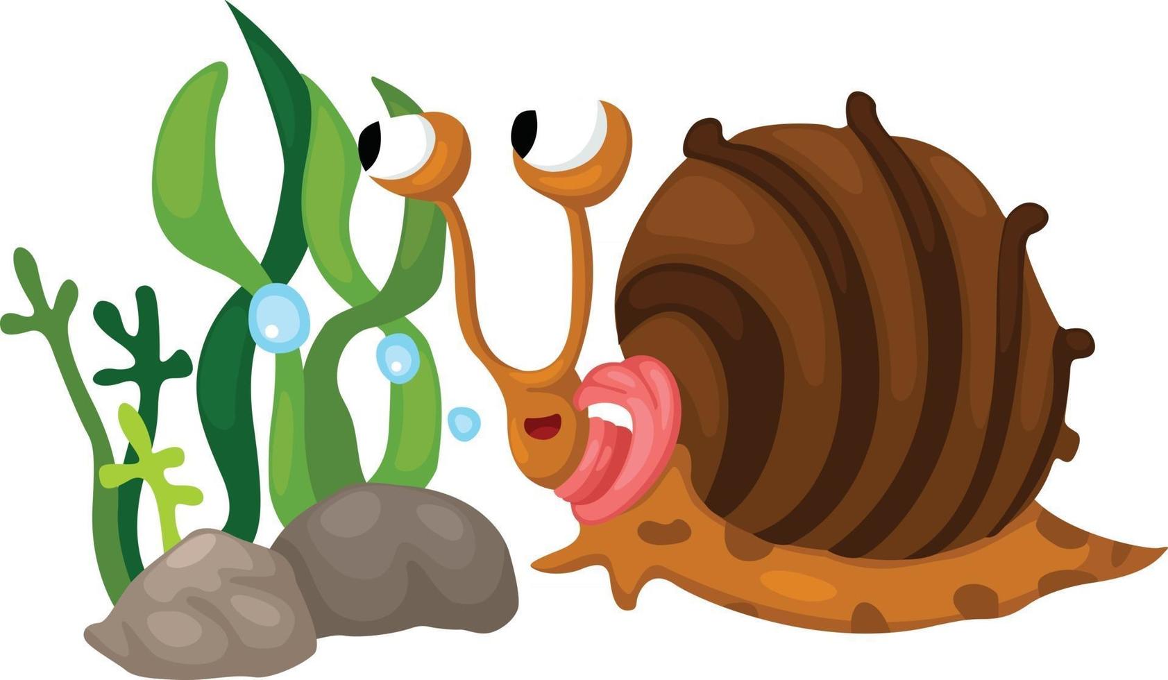 Ilustración de un caracol sobre fondo blanco. vector