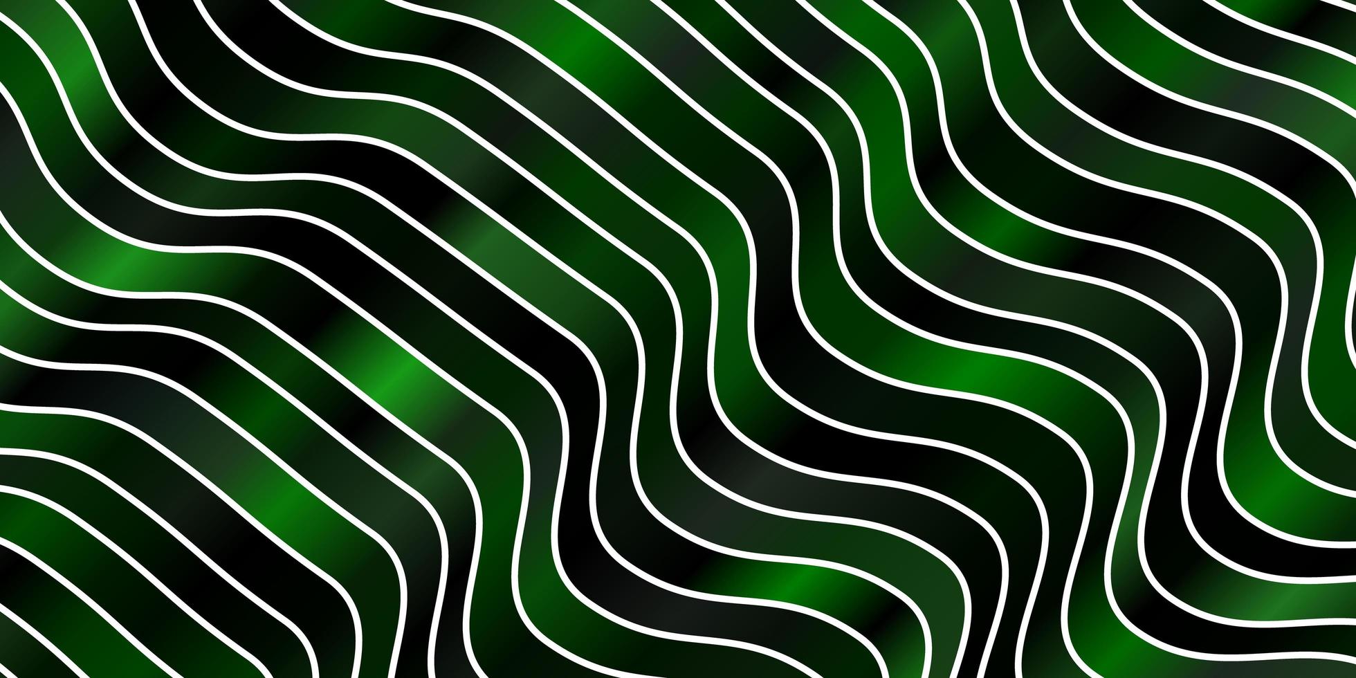 Fondo de vector verde oscuro con líneas curvas.