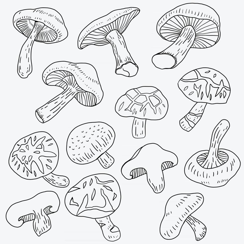 Doodle freehand sketch drawing of shitake mushroom vegetable. vector