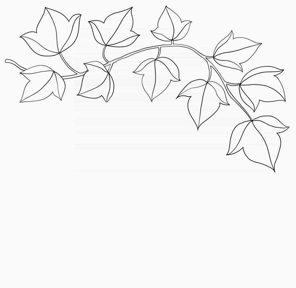 Simplicity ivy freehand drawing flat design. vector