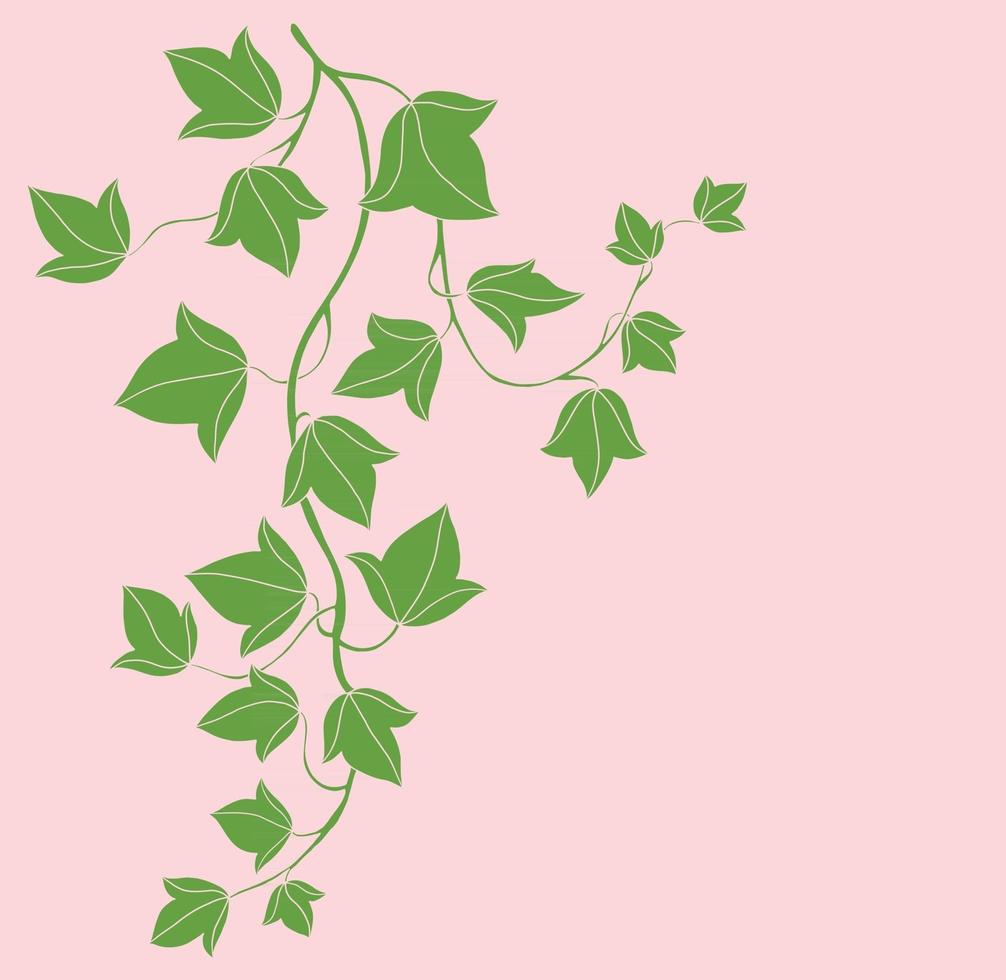 Simplicity ivy freehand drawing flat design. vector