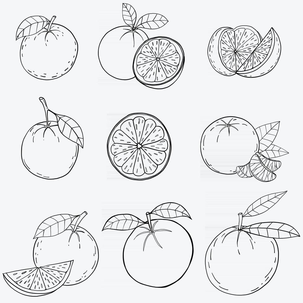 Doodle dibujo a mano alzada de fruta naranja. vector