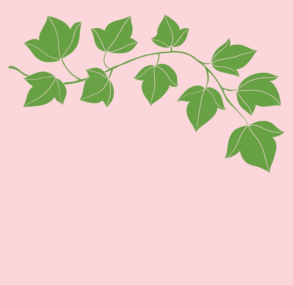 Simplicity ivy freehand drawing flat design. vector