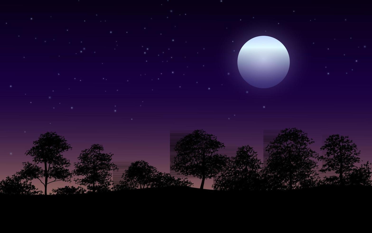 Beautiful Night In Forest Illustration vector