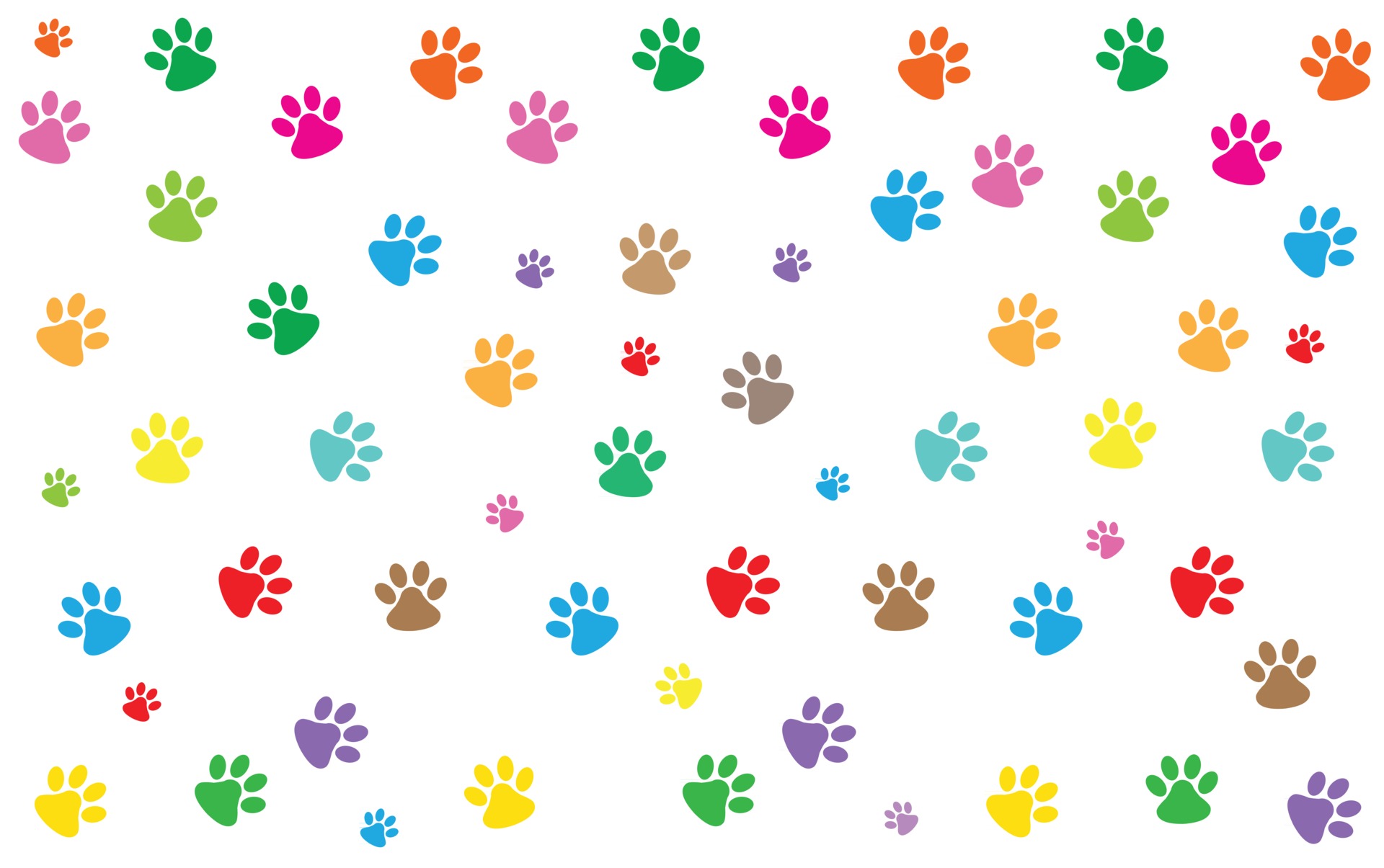 cat and dog paws background