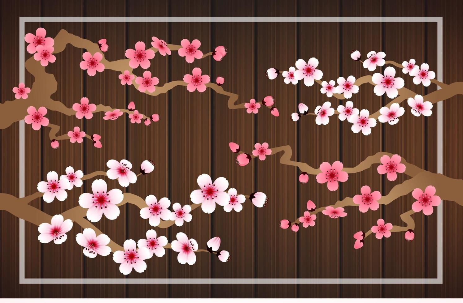 sakura falling petals vector on wood banner background.