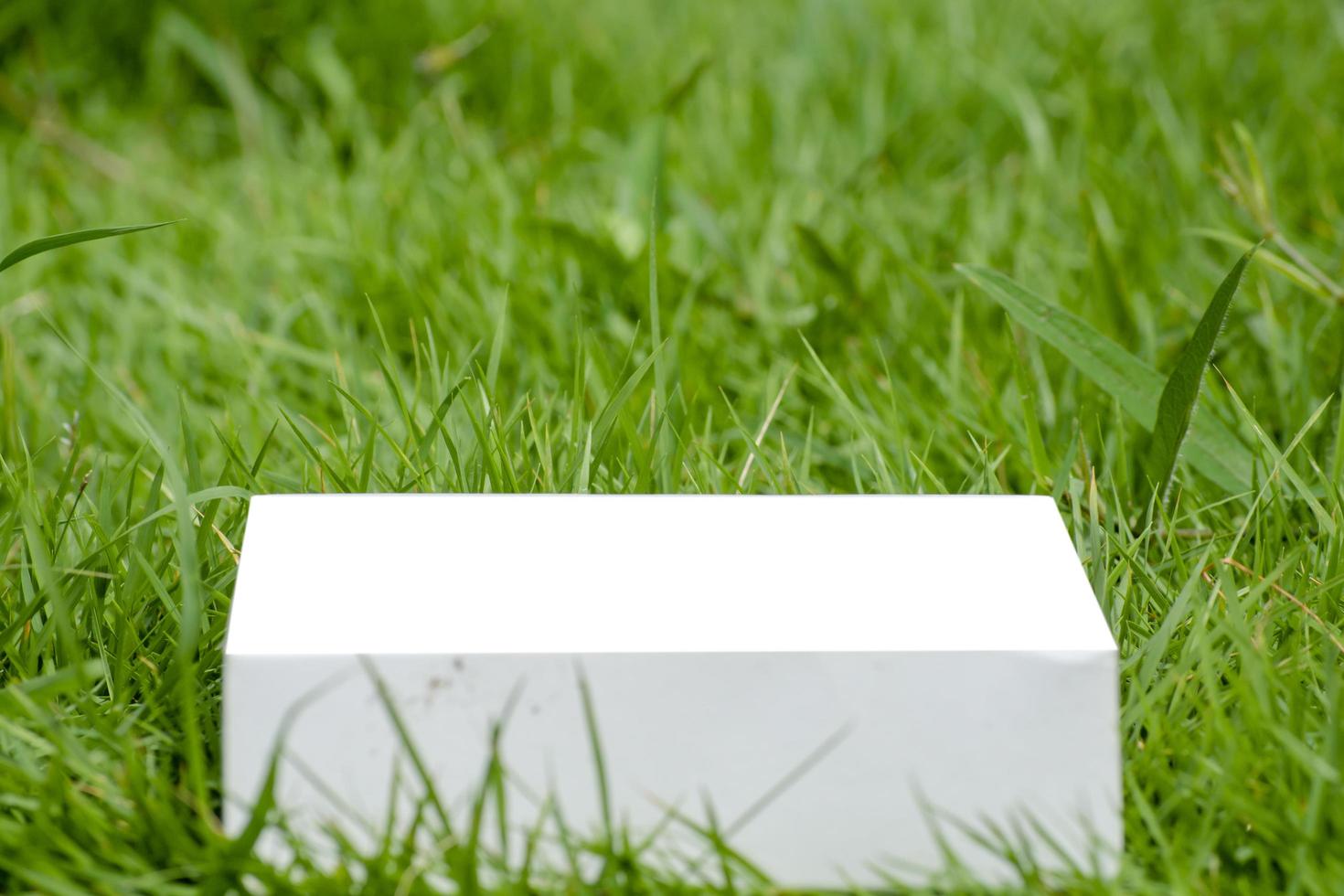 Plantilla de caja de papel maqueta blanca sobre un fondo de hierba verde foto