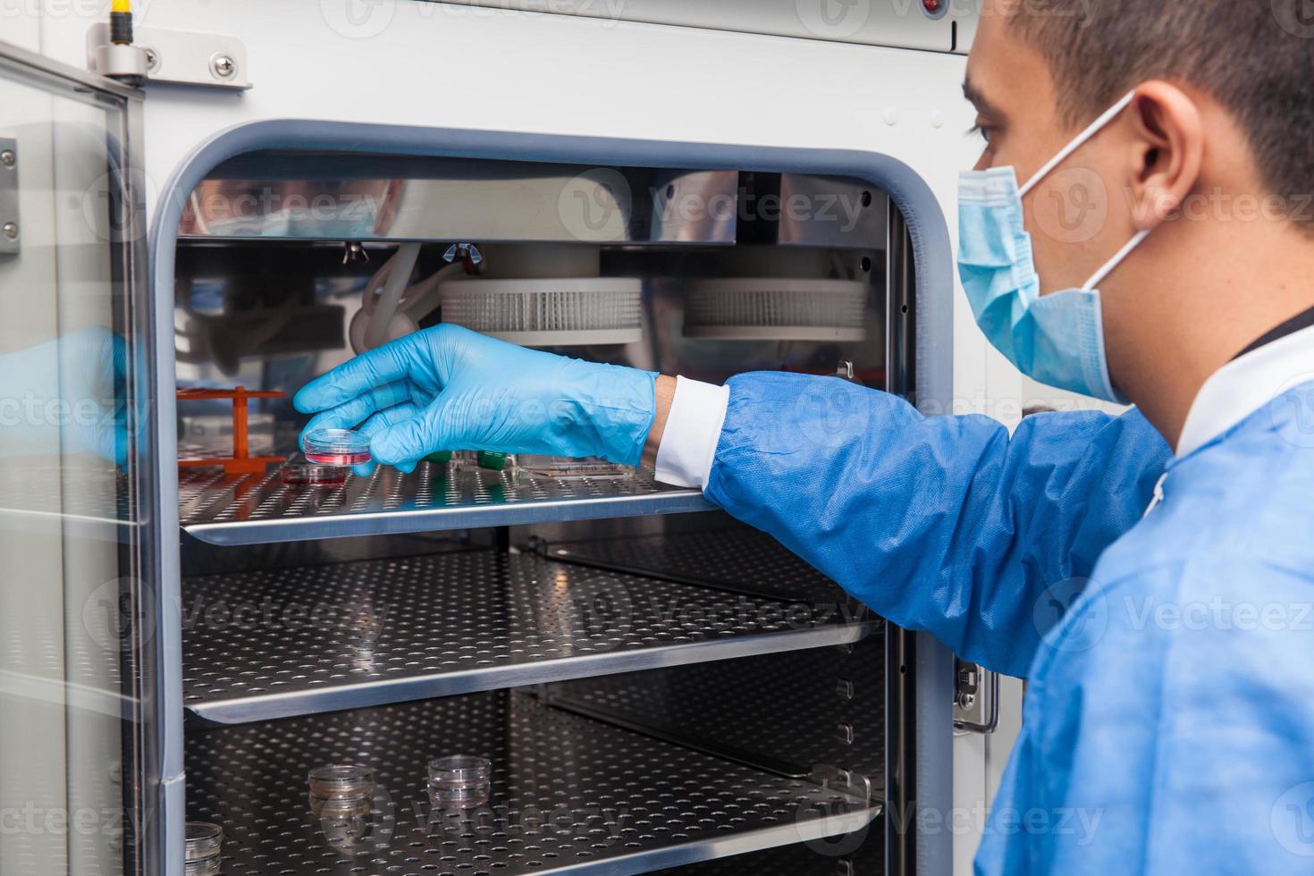 Young laboratory researcher introducing a petri dish into an incubator photo