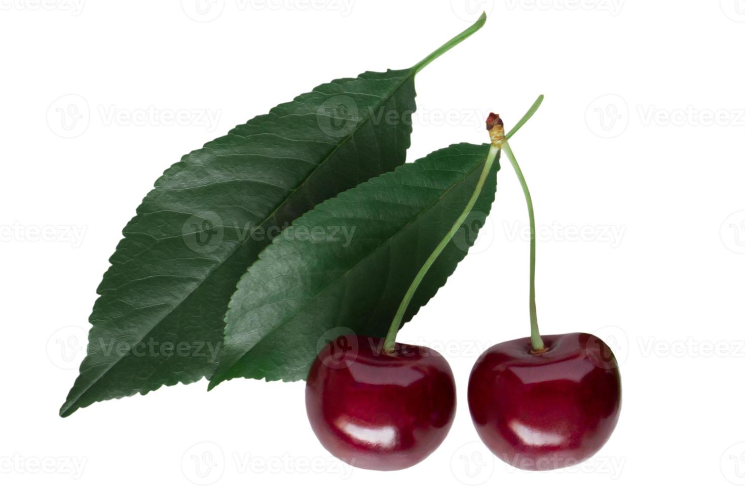 cherries isolated on white background clipping path photo