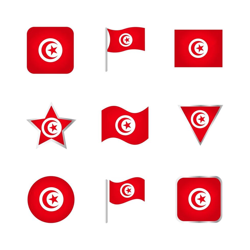 Tunisia Flag Icons Set vector