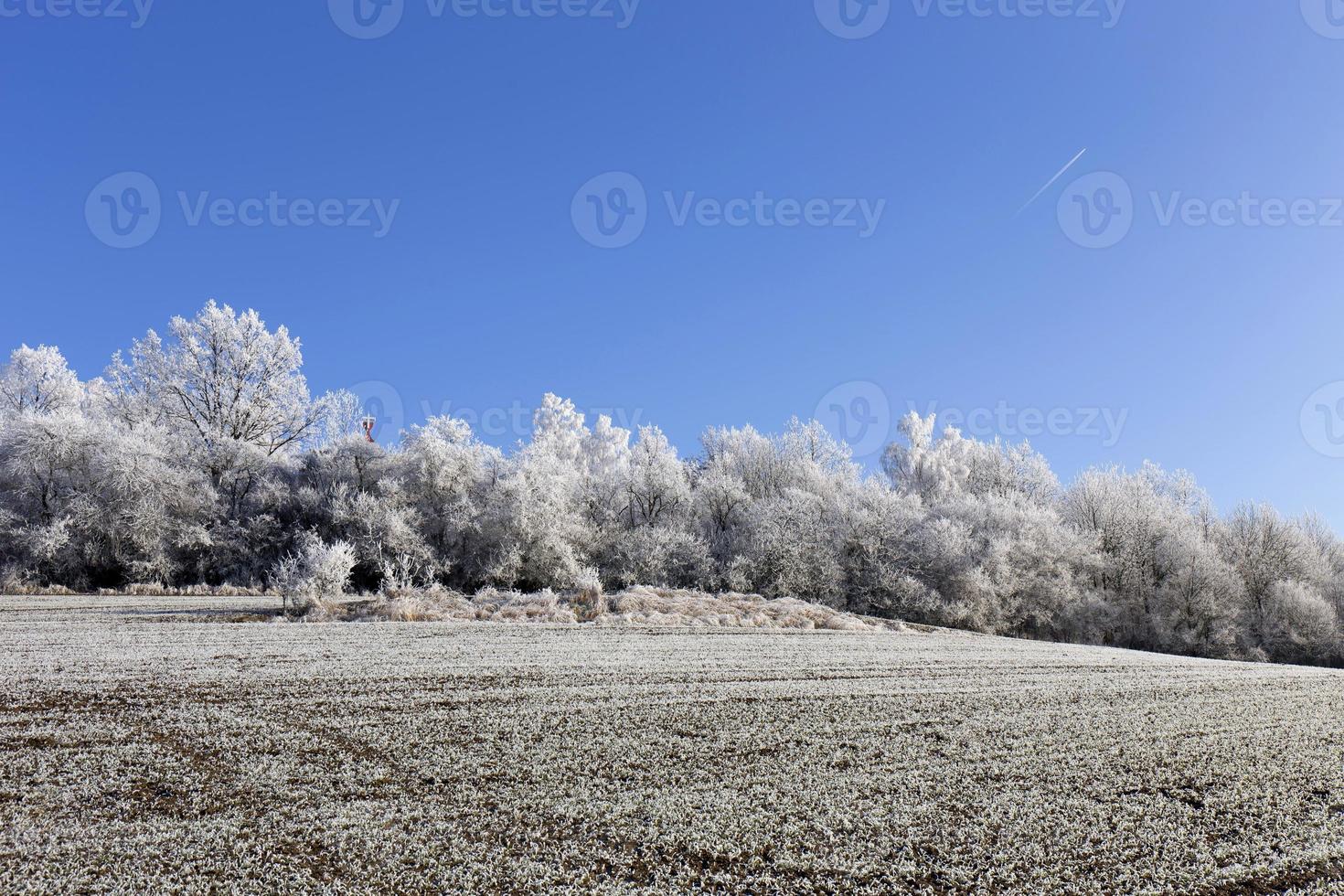 Beautiful fairytale snowy winter Countryside with blue Sky in Central Bohemia, Czech Republic photo