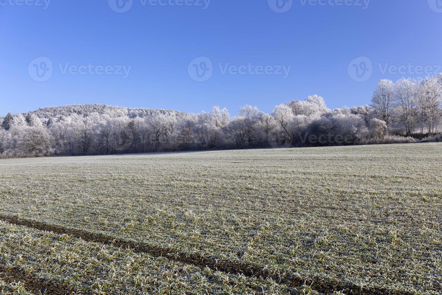 Beautiful fairytale snowy winter Countryside with blue Sky in Central Bohemia, Czech Republic photo
