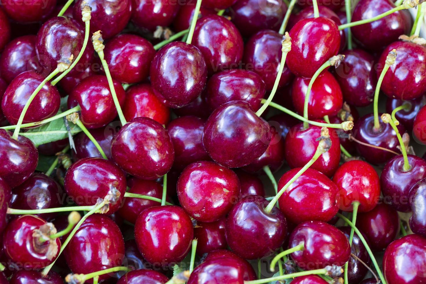 Summer harvest of red Cherries photo