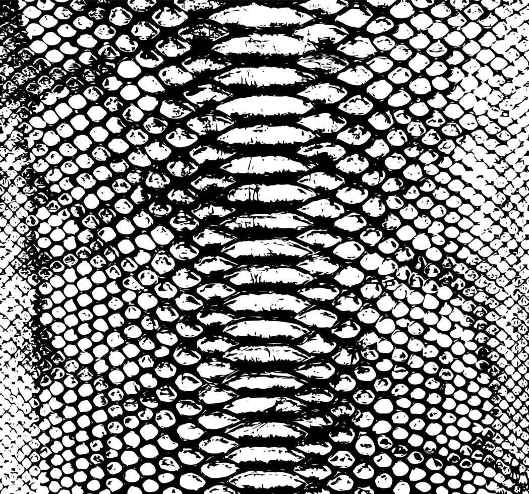 Vector snake skin background. Black and white texture