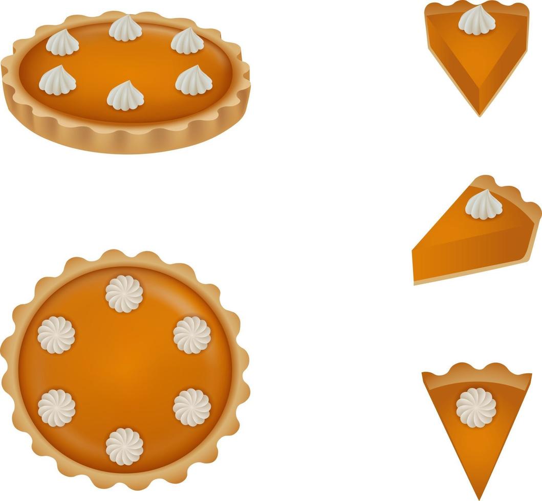 solated pumpkin pie vector. Top and side view and slices of cake. vector