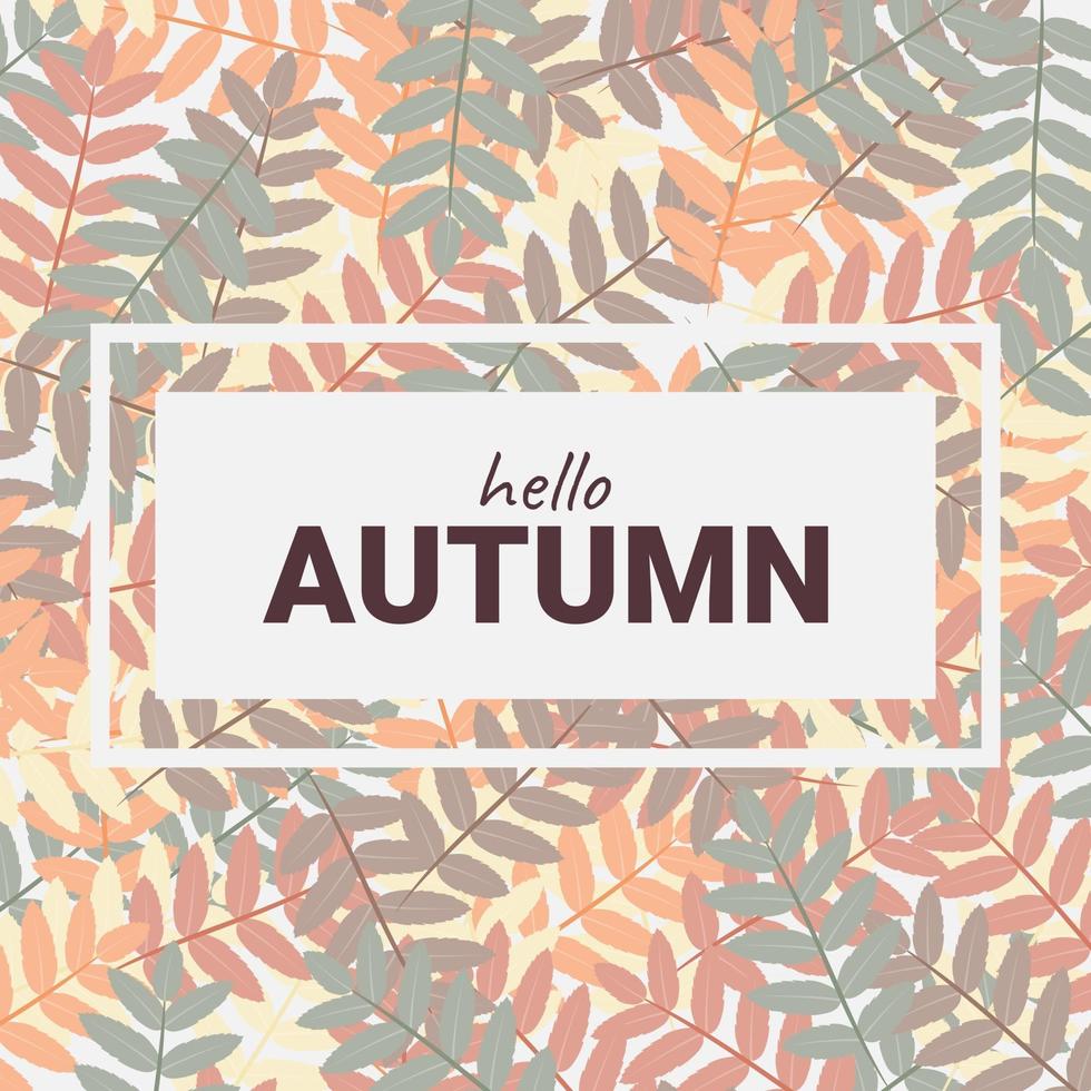 Autumn Background Design with Rowan Leaves vector