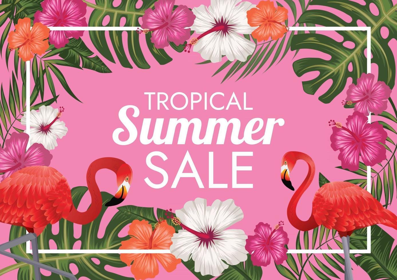 wildlife tropical florals labels summer sale vector