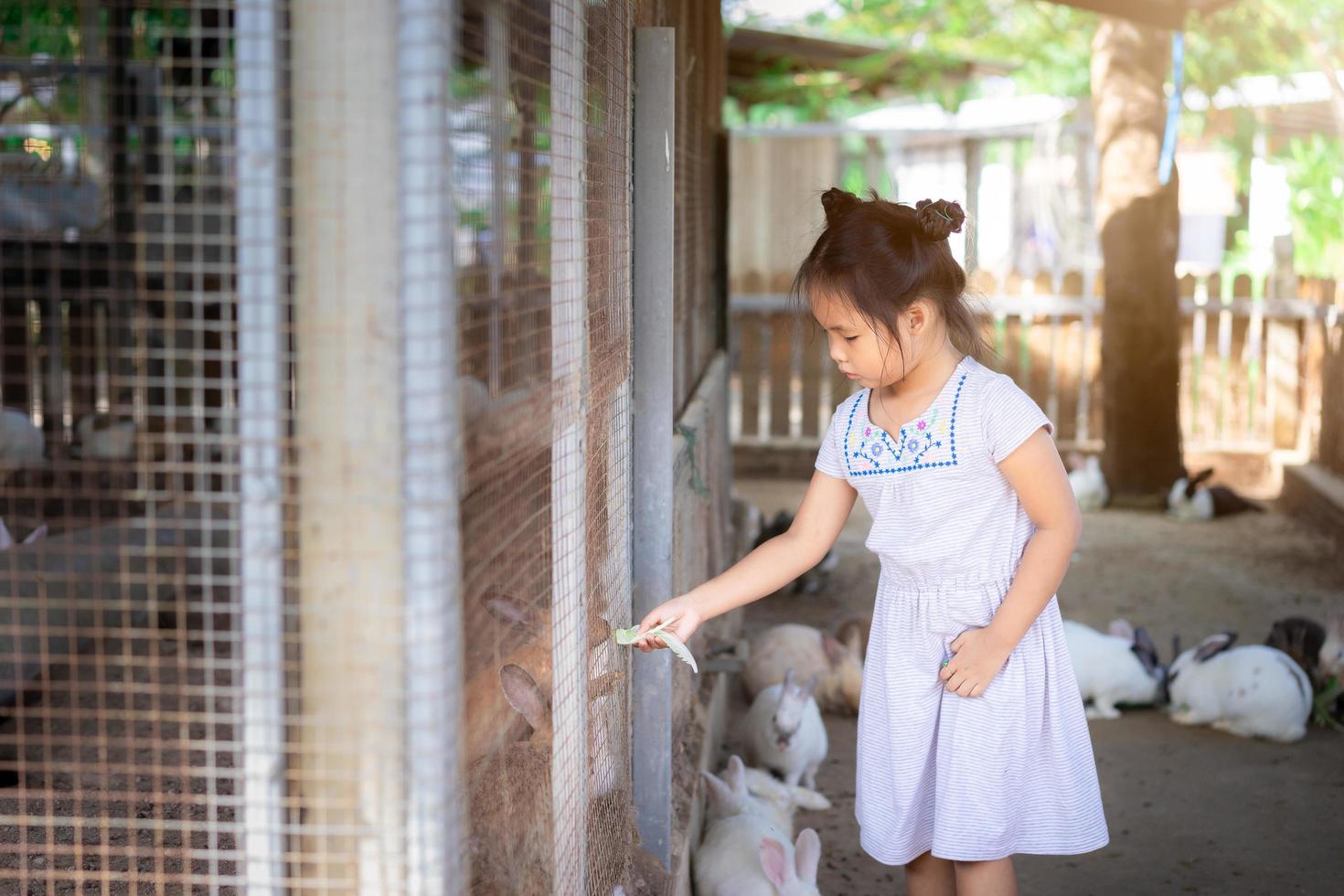 Linda niña asiática alimentando conejo en la granja foto